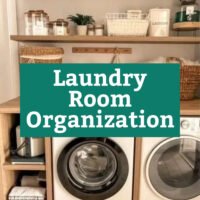 Organization